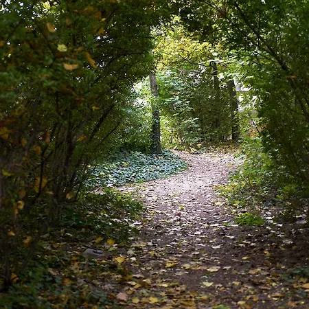 Hotel Teleki-wattay Kastélyszálló *